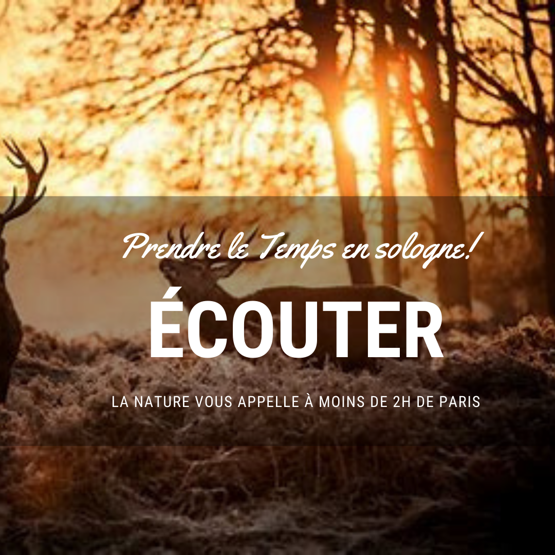 Sologne ecouter instagram rayondesologne