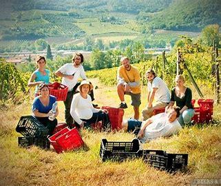 Wooffing sologne region centre