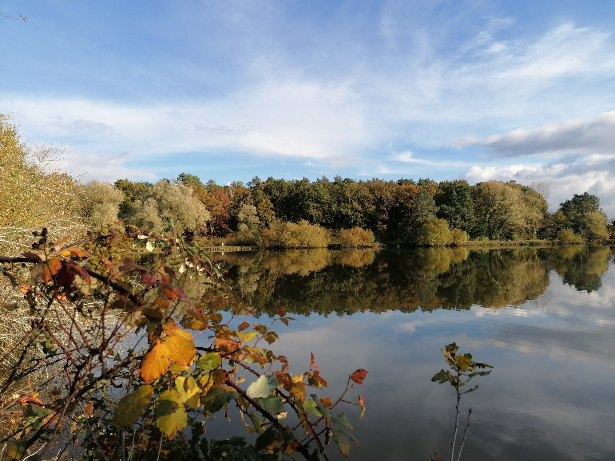 Etang rayon de sologne