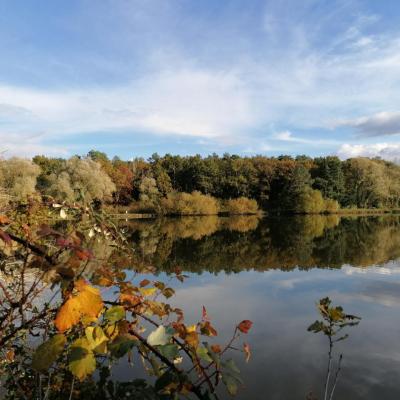 en bord de lac sologne