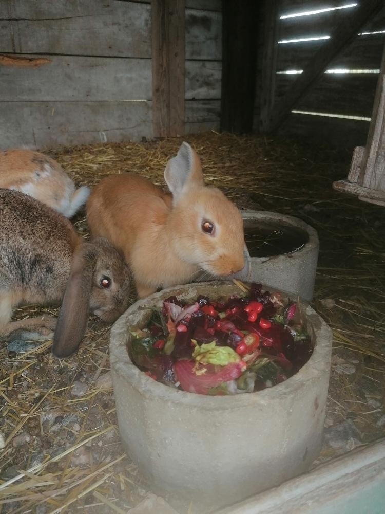 notre ferme pédagogique