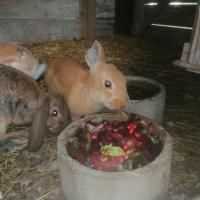 notre ferme pédagogique