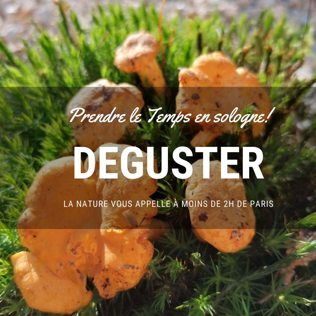 Sologne deguster instagram rayondesologne