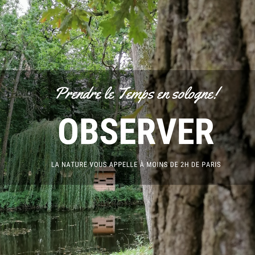 Sologne observer instagram rayondesologne