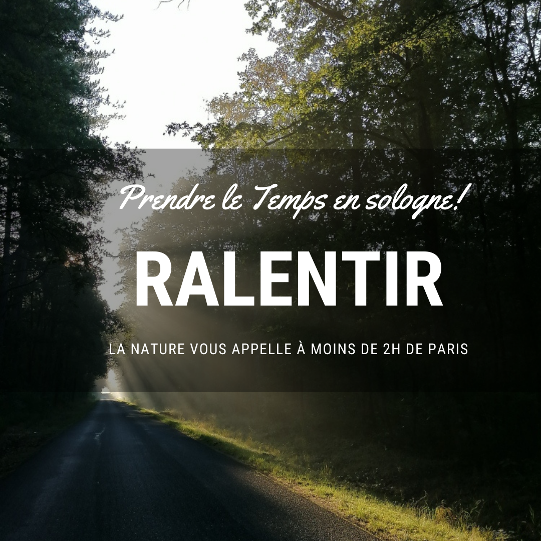 Sologne ralentir instagram rayondesologne